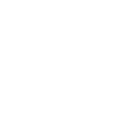 EDMx Logo
